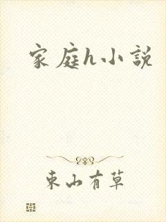 家庭h小说