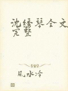 沈绣琴全文阅读完整