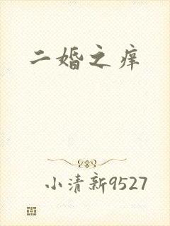 二婚之痒