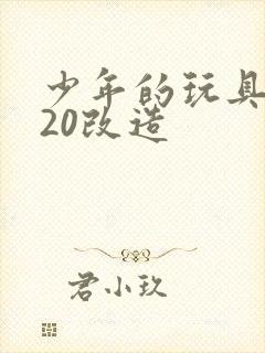 少年的玩具1一20改造