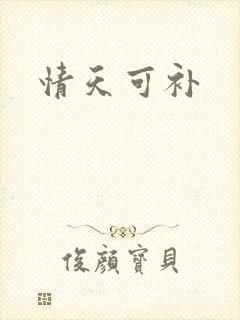 情天可补