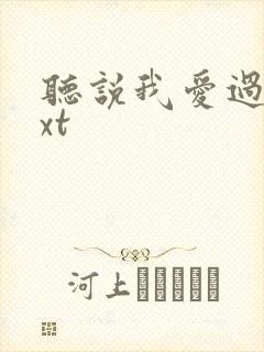 听说我爱过你txt