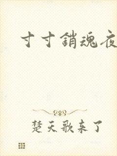 寸寸销魂夜春光