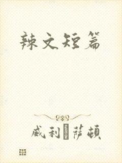 辣文短篇