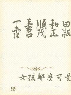 丁长顺和田晓兰霍吕茂正版