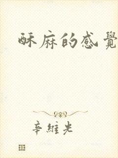 酥麻的感觉小说