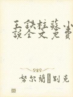 王铁柱苏小汐小说全文免费阅读最新章节