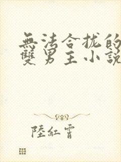 无法合拢的总裁双男主小说