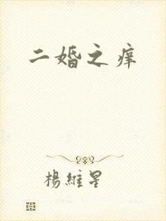 二婚之痒