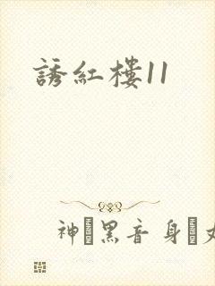 诱红楼11