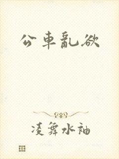 公车乱欲
