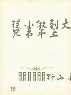 从小做到大骨科兄弟年上