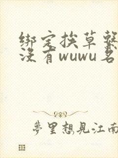 绑定挨草系统后没有wuwu名字