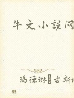 牛文小说网