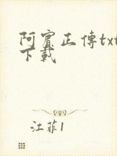 阿宾正传txt下载