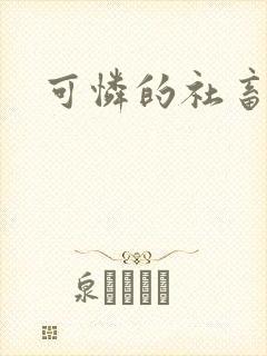 可怜的社畜小说