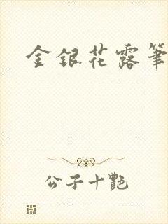 金银花露笔趣阁