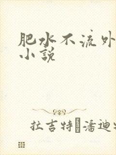 肥水不流外人田小说