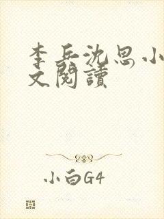 李兵沈思小说全文阅读