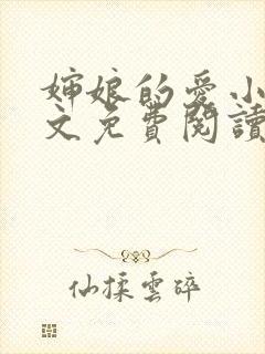 婶娘的爱小说全文免费阅读