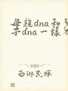 母亲dna和儿子dna一样不