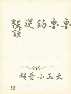 叛逆的鲁鲁修小说