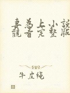 妻为上小说免费观看完整版笔趣阁