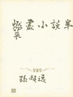 燃尽小说半截白菜