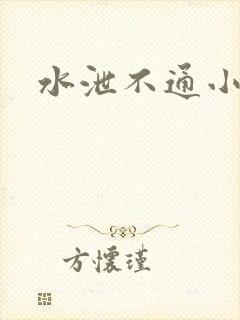 水泄不通小说