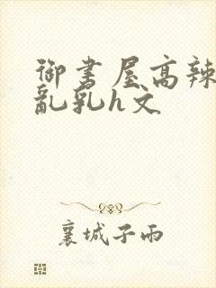 御书屋高辣h文乱乳h文