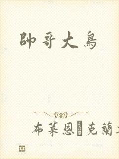 帅哥大鸟