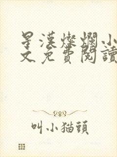 星汉灿烂小说全文免费阅读