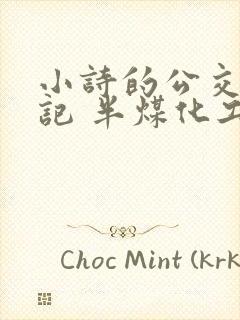 小诗的公交车日记 半煤化工