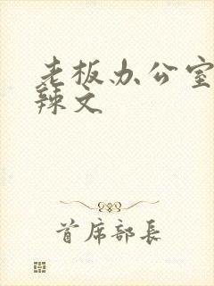 老板办公室系列辣文