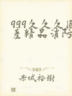 999久久久国产精品消防器材