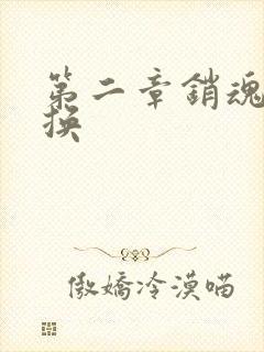 第二章销魂的交换