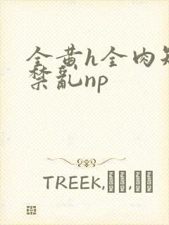 全黄h全肉短篇禁乱np