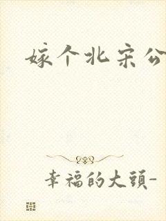 嫁个北宋公务员