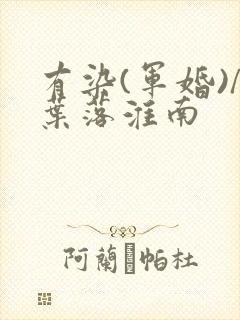 有染(军婚)/叶落淮南