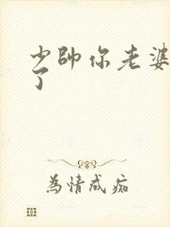 少帅你老婆又跑了