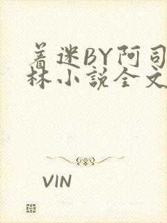 着迷BY阿司匹林小说全文免费阅读