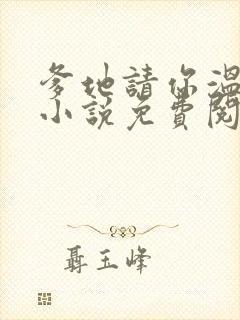 爹地请你温柔点小说免费阅读