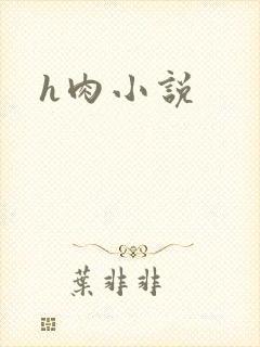 h肉小说