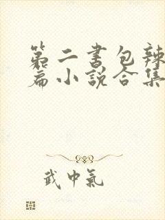 第二书包辣网短篇小说合集