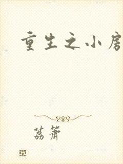 重生之小房东