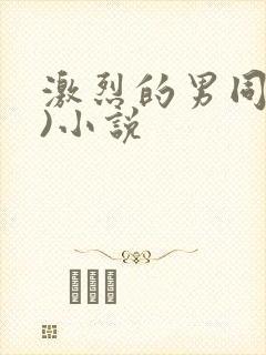 激烈的男同(h)小说