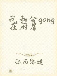 我和公gong在厨房