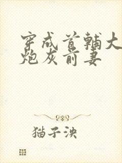 穿成首辅大人的炮灰前妻