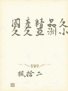 国产精品久久久久久亚洲小说