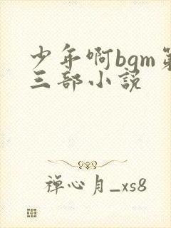 少年啊bgm第三部小说